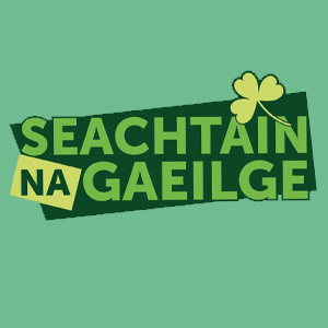Irish Language