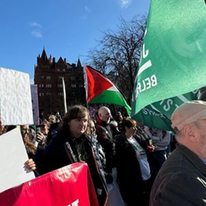 The Gaza 40
